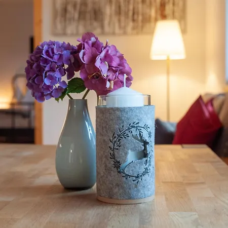 Lejlighed In Tyrol Near Lift *